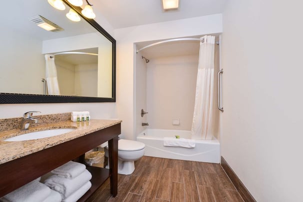 Family Suite Bathroom