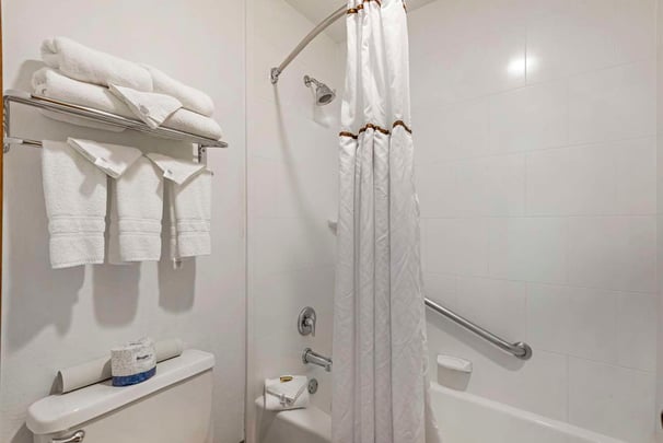 Double Queen Pet Friendly