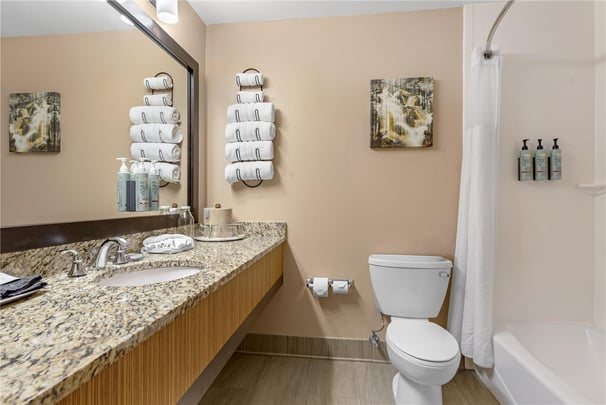 1 King Bed w/ Mountainview