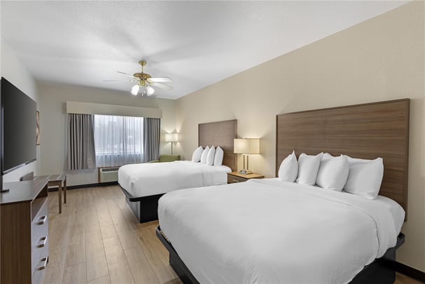 2 Queen Beds - 1 Bedroom w/ 2 Sofa beds