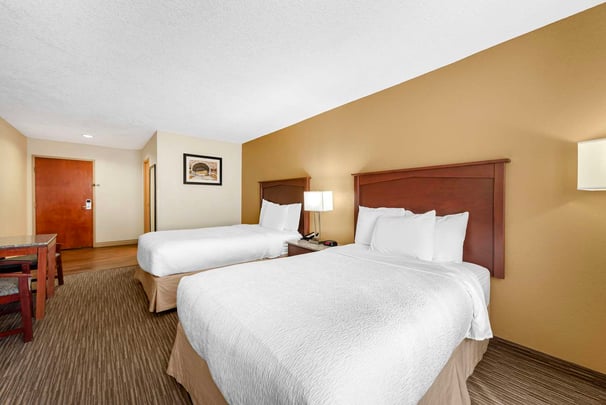 Double Bed Pet Friendly