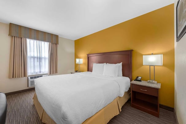 ADA King Walk-in Shower