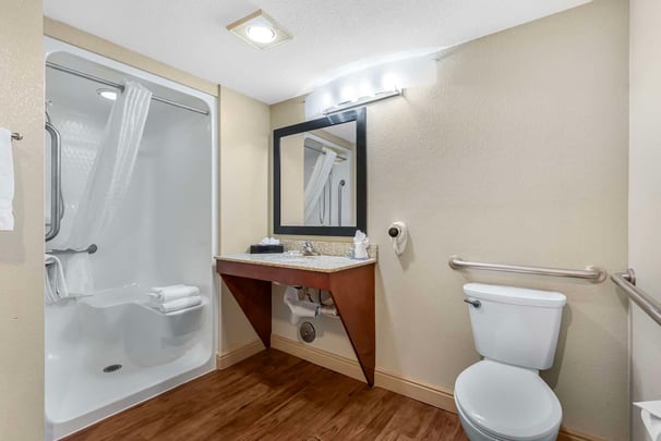 ADA King Walk-in Shower