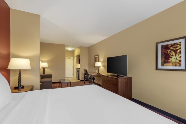 Suite - 1 King Bed