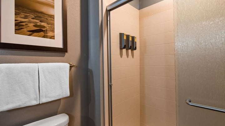 Guest Bathroom with Shower