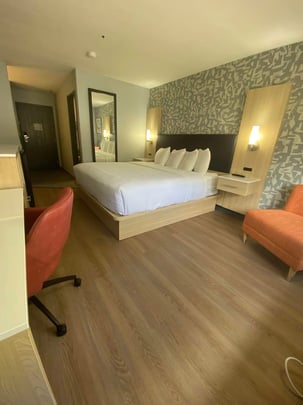 Pet Friendly King Guestroom