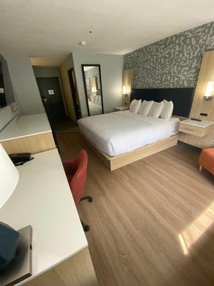 Pet Friendly King Guestroom