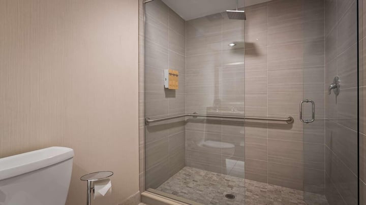 Executive King Suite - Guest Bath