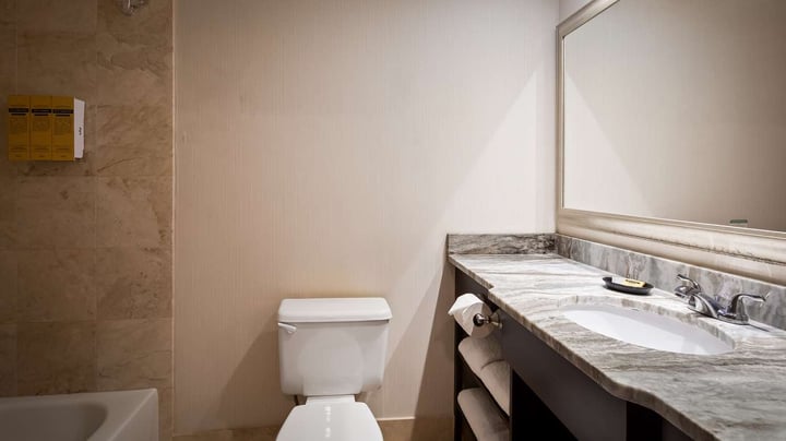 King Suite - Guest Bath