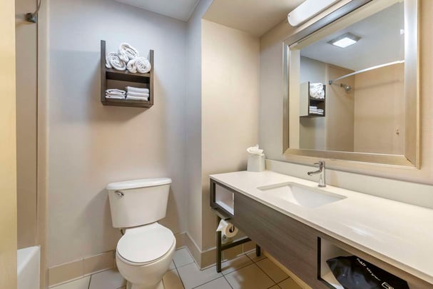 King Guest Bathroom