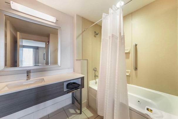Suite w/ Kitchenette Guest Bathroom
