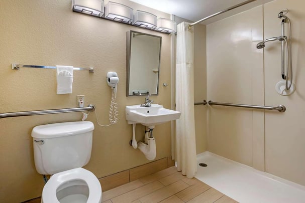 ADA Bathroom roll in shower