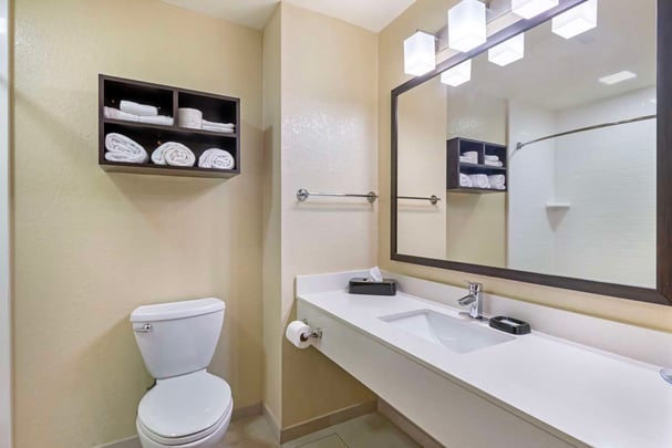 King Guest Room with Sofa Bed Bathroom