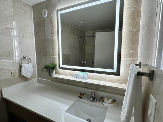 Suite bathroom