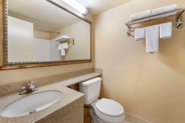 King Guest Room Bathroom
