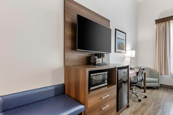 Queen Larger Guest Room