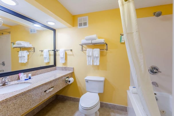 Suite Bathroom