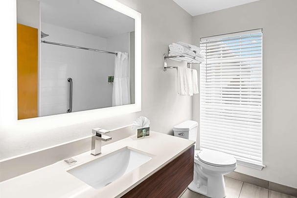 Double Queen Suite w/ Living Room - Guest Bath