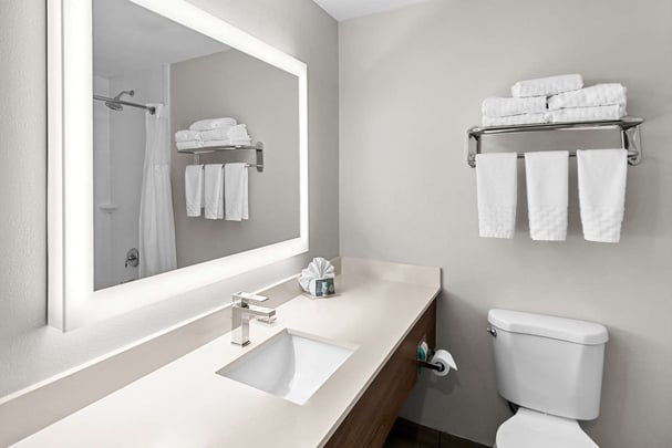 Double Queen Suite w/ Sofa Bed - Guest Bath