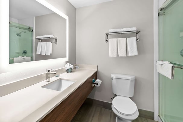 King - Walk-In Shower - Guest Bath