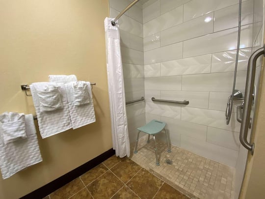 Accessible Bathroom - Roll-In Shower 2021