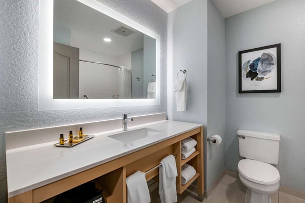 Guest Bathroom