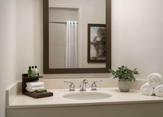Two Bedroom Villa Guest Bathroom at Caribe Royale Orlando