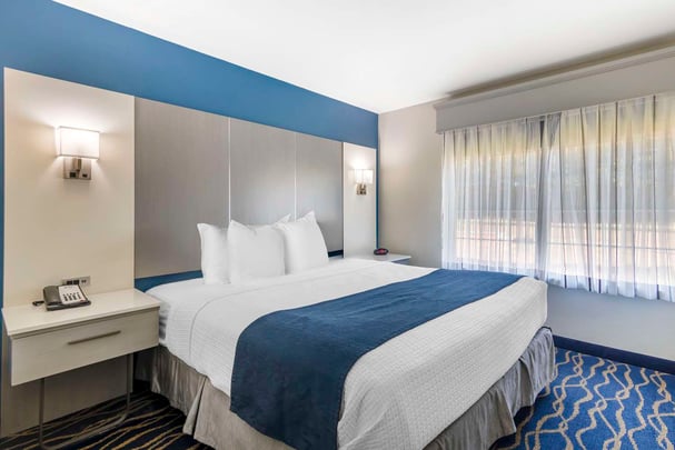 Suite Sep Bedroom Pet