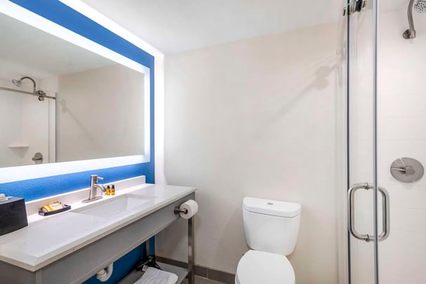 Executive Queen Guest Bathroom