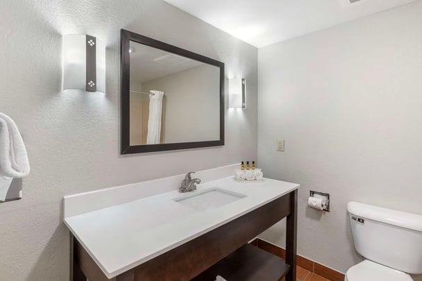 Guest Bathroom Updated