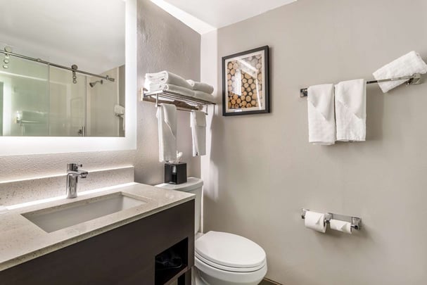 Two Queen Guest Bathroom