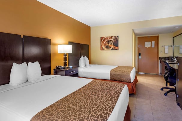 Pet-Friendly Double Room