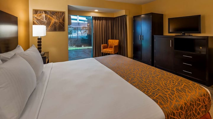 Pet-Friendly King Room