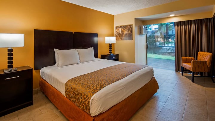 Pet-Friendly King Room