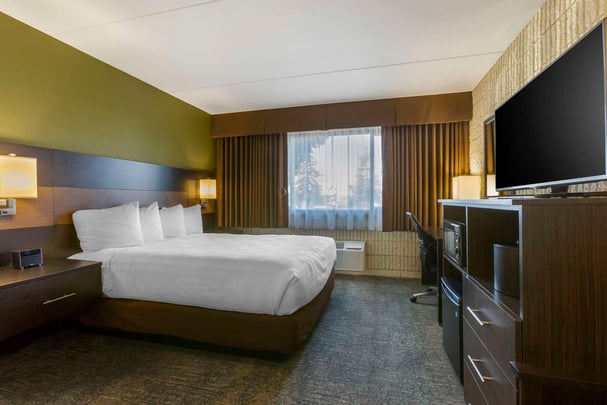 Standard Single King/Queen Room