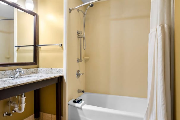 ADA Double Queen - Guest Bath