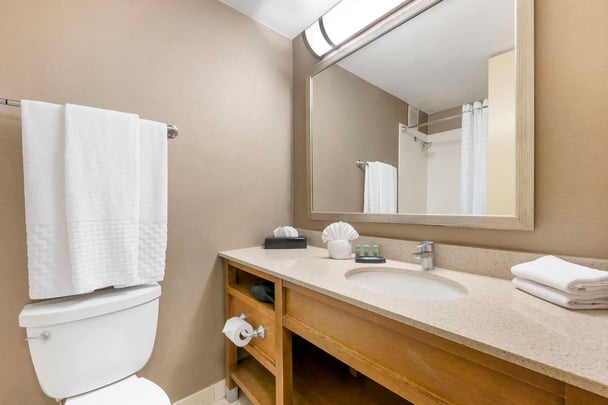 Suite - Guest Bath