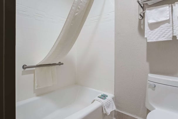 Guest Bath - Double Beds