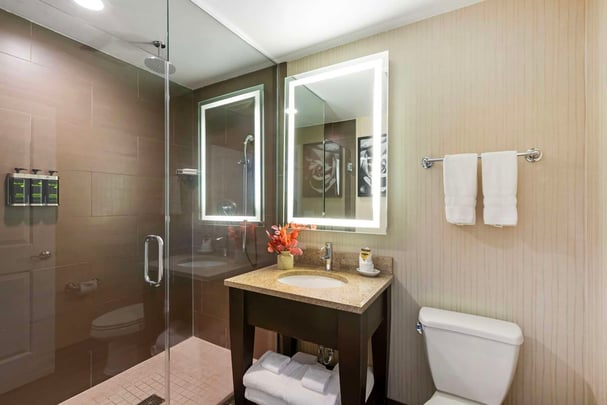 Double King Suite - Guest Bath