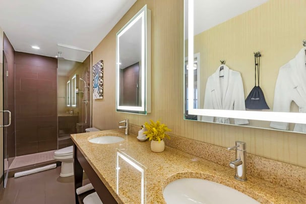King Suite - Street View & Kitchenette - Guest Bath