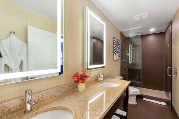 King Suite - Annex - Guest Bath