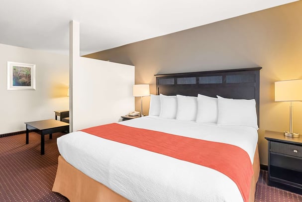 King Suite w/ Sofa Bed