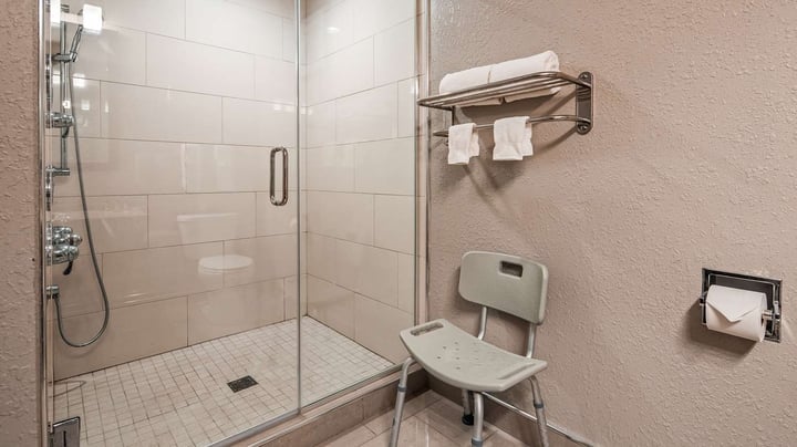 Suite Walk-In Shower
