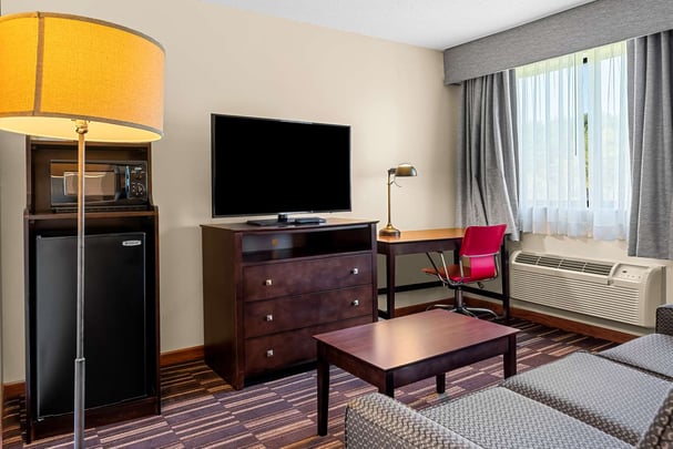 King Jacuzzi Suite w/ Sofa