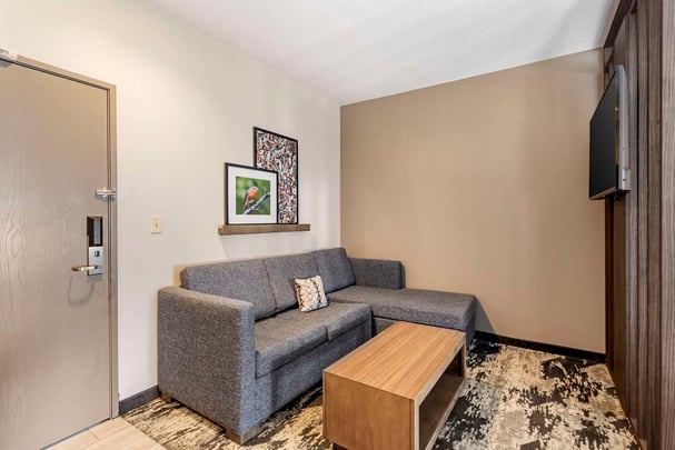 King Suite w/ Sofa Bed