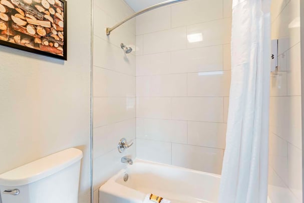 King Suite w/ Sofa Bed - Bath