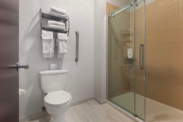 Walk-In Shower
