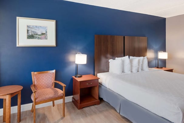 Standard King Pet Friendly