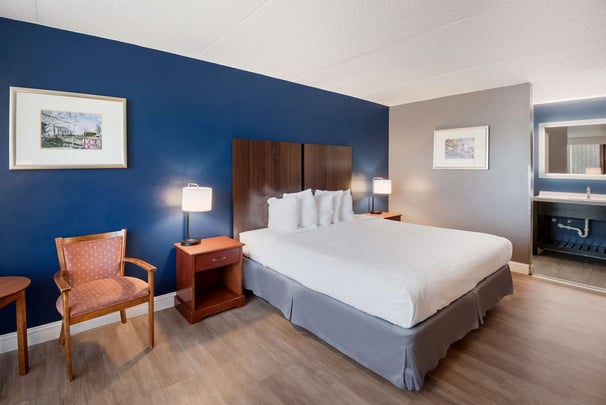 Standard King Pet Friendly