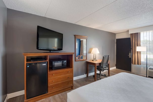 Standard King Pet Friendly